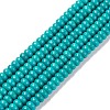 Natural Magnesite Beads Strands TURQ-G148-27-10mm-1
