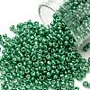 8/0 Glass Seed Beads SEED-A017-3mm-1114-1