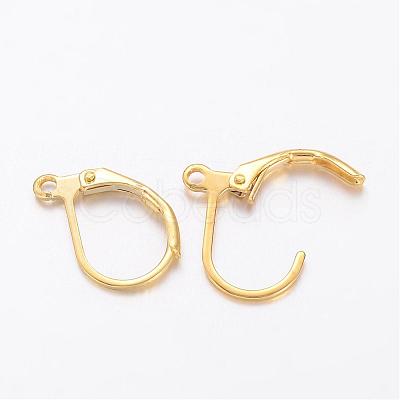 Brass Leverback Earring Findings X-KK-H670-G-NF-1