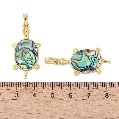 Rack Plating Natural Paua Shell Pendants KK-E059-16G-1