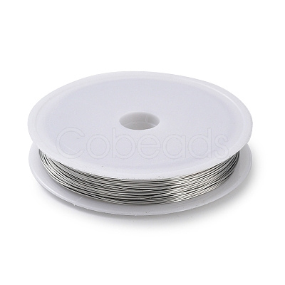 Non-Tarnish 10 Rolls 304 Stainless Steel Wire TWIR-H001-01C-P-1