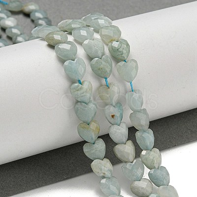 Natural Flower Amazonite Beads Strands G-P544-E13-01-1