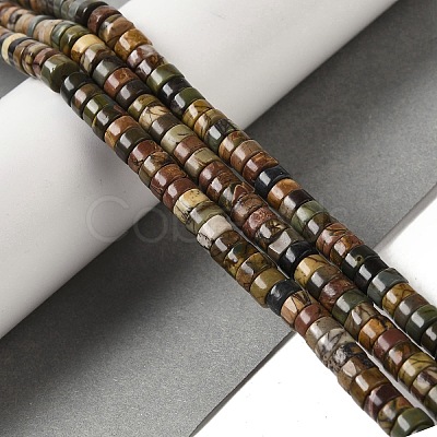 Natural Picasso Jasper Beads Strands G-Q161-D01-01-1