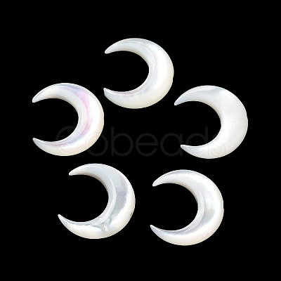 Natural White Shell Beads SHEL-M020-04C-1