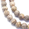Natural Conch Fossil Beads Strands G-K310-A07-8mm-3