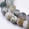 Natural Tree Agate Bead Strands G-J376-11F-6mm-3