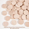 Unfinished Schima Wooden Round Pieces WOOD-WH0027-73-4