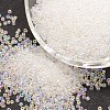 6/0 Round Glass Seed Beads X-SEED-J011-F6-161-1