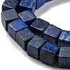 Natural Lapis Lazuli Beads Strands G-C084-E05-01-4