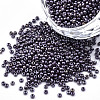 12/0 Czech Opaque Glass Seed Beads SEED-N004-003C-40-1