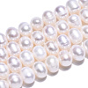 Natural Cultured Freshwater Pearl Beads Strands PEAR-N013-06V-3