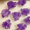 Natural Rough Raw Amethyst Display Decorations G-PW0007-157-2