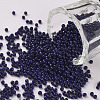 11/0 Grade A Baking Paint Glass Seed Beads X-SEED-N001-A-1009-1