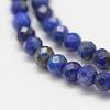 Natural Lapis Lazuli Beads Strands G-K182-2mm-04-3
