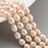 Natural Cultured Freshwater Pearl Beads Strands PEAR-P062-08I-2