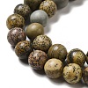 Natural Dendritic Jasper Beads Strands G-D481-16-4