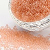 8/0 Grade A Round Glass Seed Beads SEED-Q006-3mm-F09-1