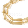 Natural Trochus Shell Beads Strands BSHE-G036-04-3