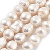 Natural Cultured Freshwater Pearl Beads Strands PEAR-P062-30F-1