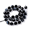 Natural Black Banded Agate/Striped Agate Beads Strands G-R482-13-10mm-2