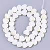 Natural Freshwater Shell Beads Strands X-SHEL-S276-70-3