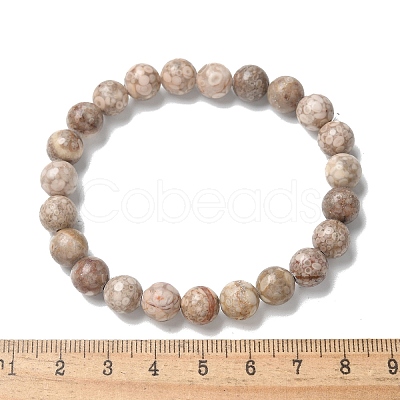 Natural Maifanite/Maifan Stone Bead Stretch Bracelets BJEW-K212-B-044-1