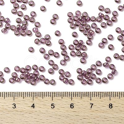 MIYUKI Round Rocailles Beads X-SEED-G008-RR2448-1