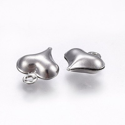 304 Stainless Steel Charms STAS-E438-24P-1