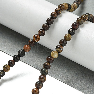 Natural Phlogopite Beads Strands G-P546-A01-01-1