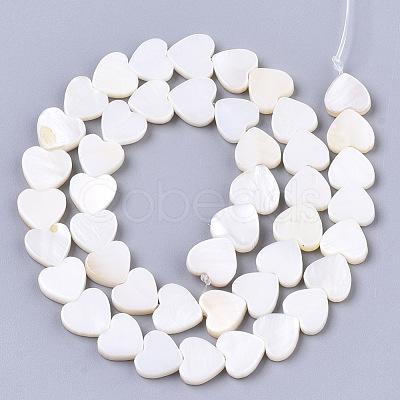 Natural Freshwater Shell Beads Strands X-SHEL-S276-70-1