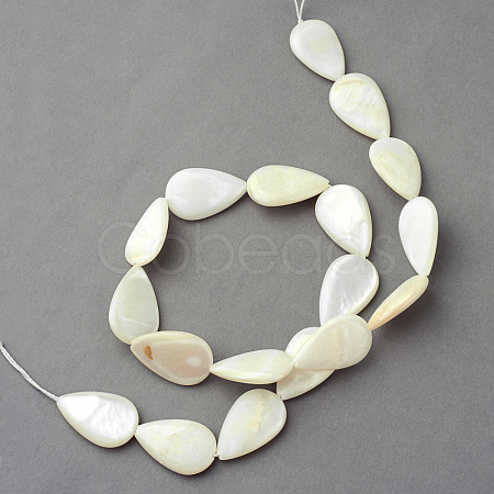 Natural Sea Shell Beads Strands X-SSHEL-Q296-43-1