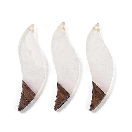 Resin & Wood Big Pendants WOOD-F015-18H-1