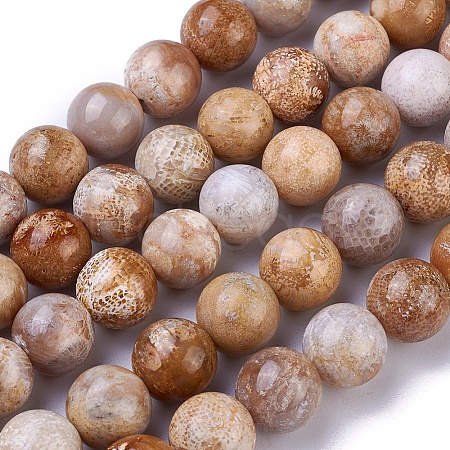 Natural Fossil Coral Beads Strands G-G779-03A-1