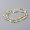 Electroplate Glass Beads Strands EGLA-L023B-FR05-3