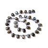 Natural Labradorite Beads Strands G-I246-09-A-2