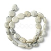 Natural Howlite Beads Strands G-K365-B14-02-3