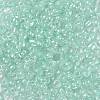 6/0 Glass Seed Beads SEED-A015-4mm-2213-2