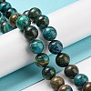 Natural Chrysocolla Beads Strands G-P503-6MM-05-2