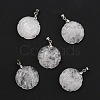 Natural Gemstone Pendants G-I319-02P-2