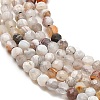 Natural Mexican Agate Beads Strands G-E608-A11-A-3