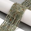 Natural Green Apatite Beads Strands G-G105-A05-01-2
