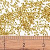 MIYUKI Delica Beads SEED-JP0008-DB2157-4