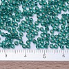 MIYUKI Round Rocailles Beads X-SEED-G007-RR2425-4