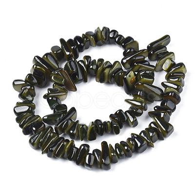 Natural Trochid Shell/Trochus Shell Beads Strands SHEL-S258-080-1