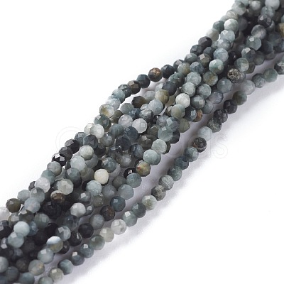 Natural Eagle Eye Stone Beads Strands G-A026-A02-2mm-1