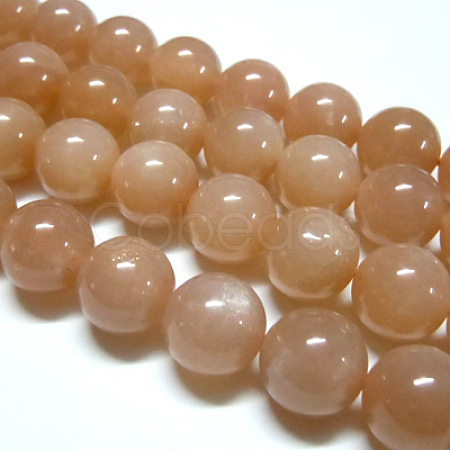 Natural Sunstone Beads Strands G-G448-12mm-12-1