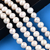 Natural Cultured Freshwater Pearl Beads Strands PEAR-N013-10E-2