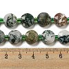 Natural Tree Agate Beads Strands G-NH0015-D04-01-5