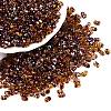 Picasso Spray Painted Glass Seed Beads SEED-T006-04-5-3