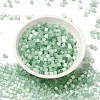 Glass Seed Beads SEED-H002-D-A805-2